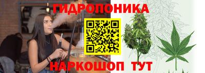 таблы Краснознаменск