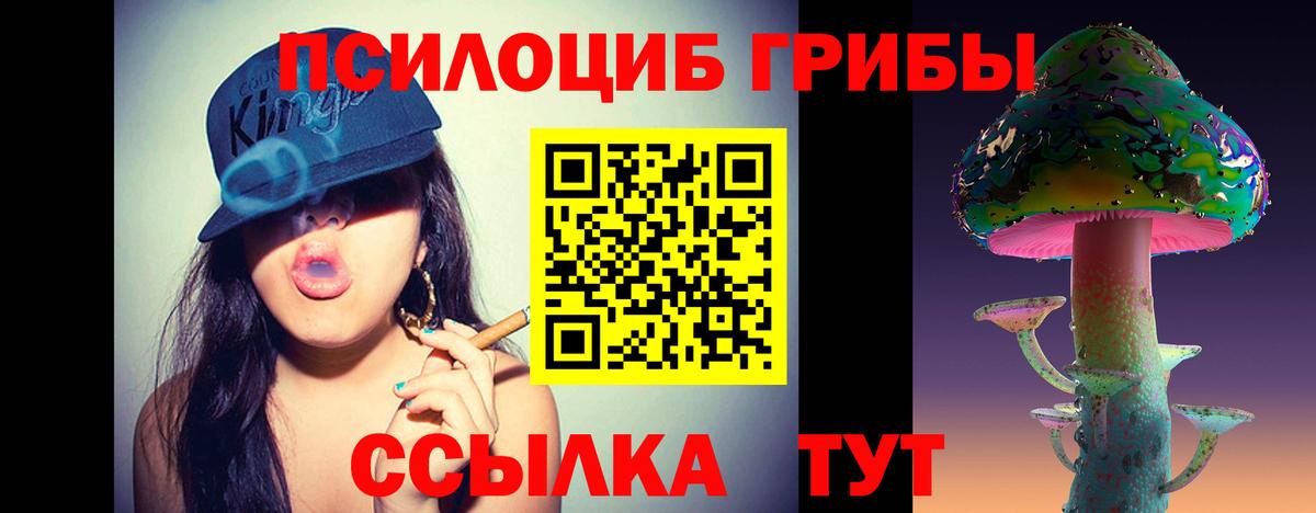 Железноводск  Псилоцибиновые грибы MAGIC MUSHROOMS  Вход с VPN  Псилоцибиновые грибы MAGIC MUSHROOMS 